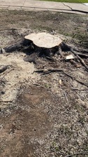 Logo for Nick's Tree Stump Grinding