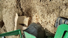 Avatar for Four Rivers Stump Grinding and Tree Service - Inicio Facebook