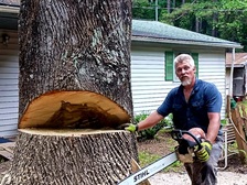 Avatar for Clean Cut Tree Removal