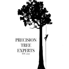 Logo for Precision Tree Experts, LLC