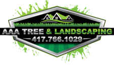 Avatar for AAA Tree and Landscaping, LLC