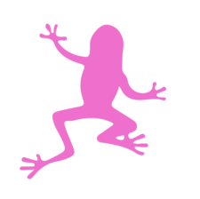 Ribbit Insulation North Orlando logo
