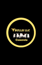 Logo for TBulls