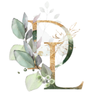 Logo for Divinity Landscapes, LLC