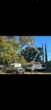 Avatar for BETTER CITY TREE SERVICES INC