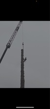 Avatar for BETTER CITY TREE SERVICES INC