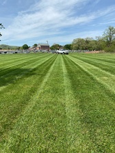 Miller's Lawn Care and Landscaping logo