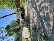 Avatar for Top Notch Tree Service