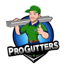 Avatar for Pro Gutters