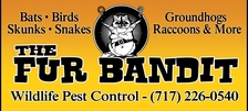 Logo for The Fur Bandit Wildlife Pest Control