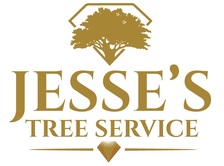 Jesse's Tree Service, LLC logo