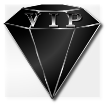 Vigil Industrial Protection, LLC logo