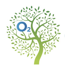 Logo for 02 Tree Service