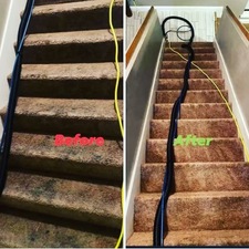 Avatar for Powerhouse carpet and upholstery cleaning