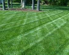 Logo for Quinton’s Lawn Care
