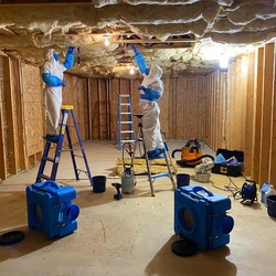 Mold Experts of Atlanta, LLC logo