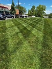 Logo for Stars & Stripes Lawn & Landscaping, LLC