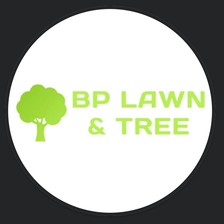 Avatar for BP Lawn & Tree