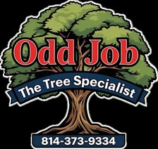 Avatar for Odd Job The Tree Specialist LLC