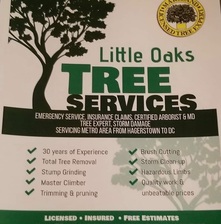 Logo for Little Oaks Tree Service