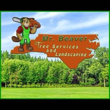 Avatar for Mr. Beaver Tree and Landscaping Services