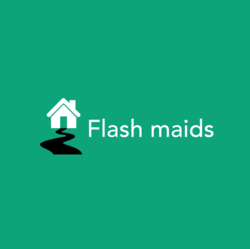 Flash Maids logo