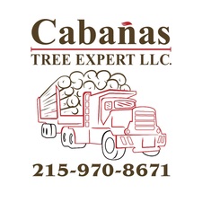 Logo for Cabanas Tree Expert