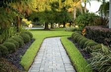 Clean Cut Lawn Service & Landscape logo