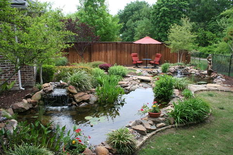 Transitional Landscape with backyard pond and sitting area