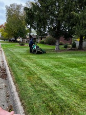 Avatar for GTO Lawn Care