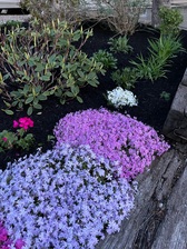 Avatar for Skyscraper Landscape