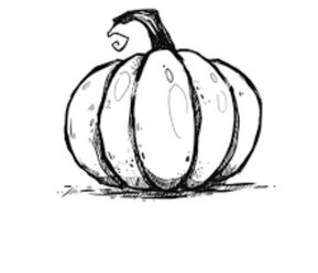 The Punkin Patch, LLC logo
