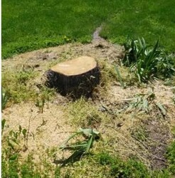 Cox Stump Grinding logo