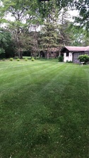 NLP Lawn Services logo