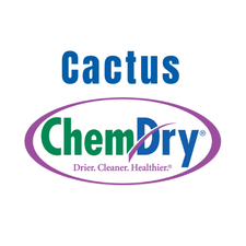 Logo for Cactus Chem-Dry
