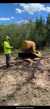 Avatar for Land Worx Stump Grinding, LLC