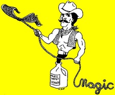 Logo for Magic Carpet Cleaning Lake Conroe