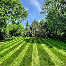 Avatar for Men's O Lawncare