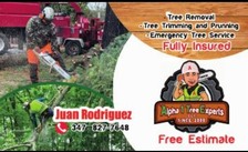 Avatar for Alpha 1 Tree Experts LLC