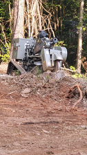 Avatar for Affordable Stump Grinding LLC