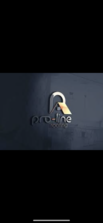 Logo for Pro Line Roofing And Chimney, Inc.
