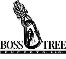 Logo for Boss Tree Experts