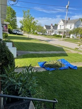 Logo for Adkins Lawn Care