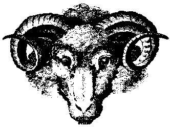 RAM driveway sealing Inc. logo