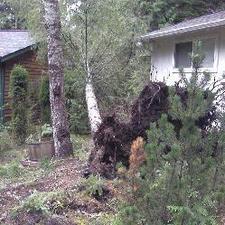 Rawls Tree Service Bellingham Wa 98225 Homeadvisor Trouble Trees