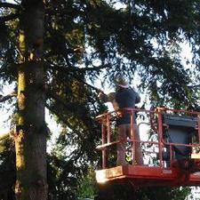 Rawls Tree Service Bellingham Wa 98225 Homeadvisor Photos Rawls Tree Service