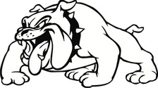 Bulldog Pressure Washing LLC logo