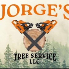 Avatar for JORGES TREE SERVICE