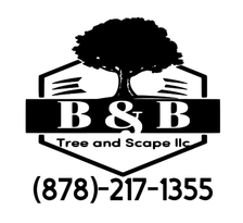 Avatar for B&B Tree And Scape, LLC