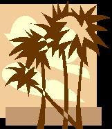 Desert Palms Construction, LLC logo
